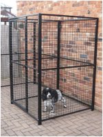 dog fencing